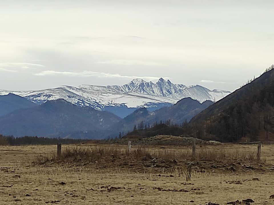 Алтай_26