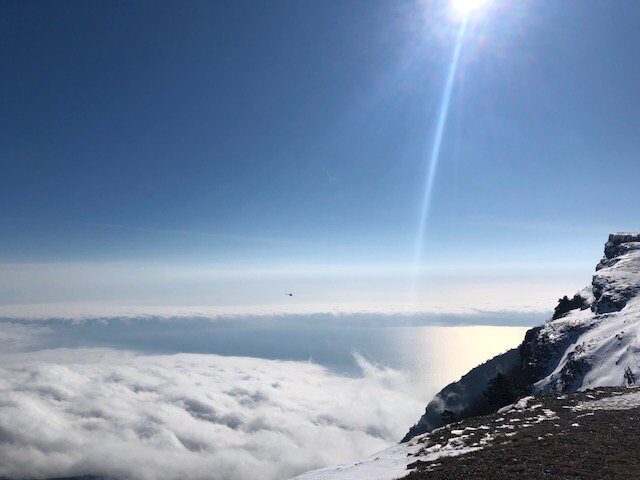 Ай-Пе́три — гора в Крымских горах в составе массива Ай-Петринская яйла.